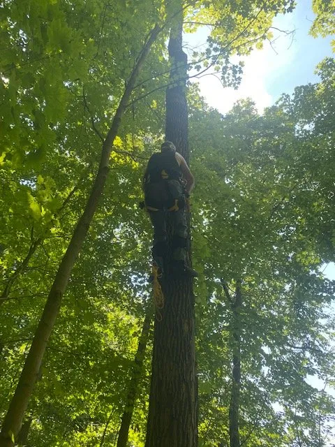 Affordable outdoor landscaping in Stroudsburg, PA - The Daily Grind Property Management