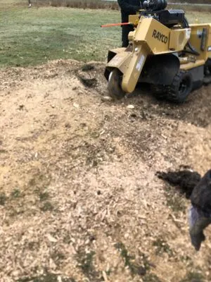 The Daily Grind Property Management Logo