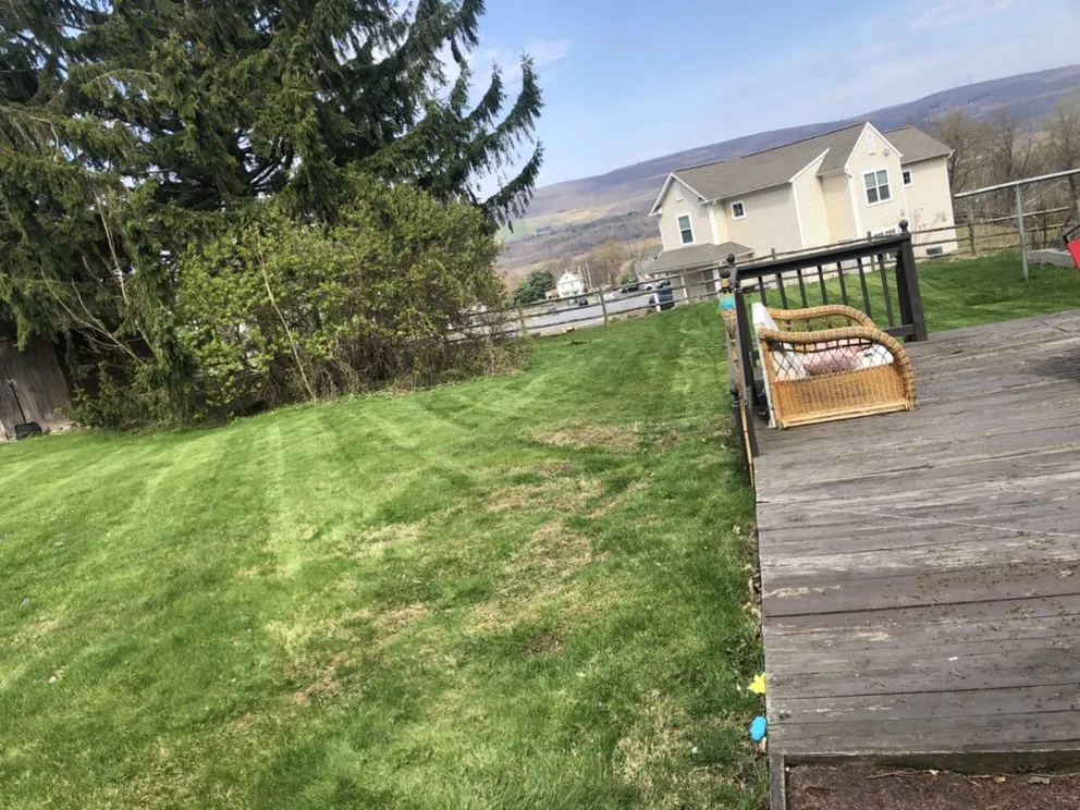 Reliable residential landscaping in Scranton, PA - The Daniel Enterprise