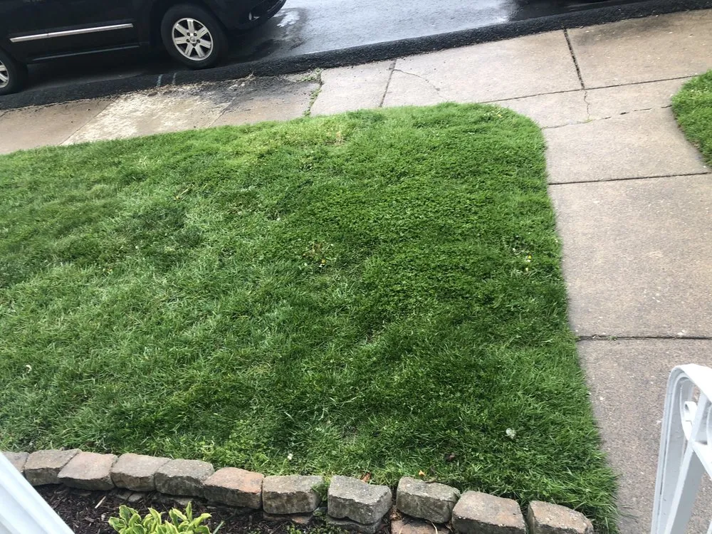 Local outdoor landscaping for outdoor upgrades across Scranton, PA - The Daniel Enterprise