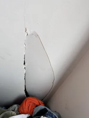 The Dantzler Group Logo