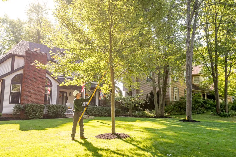 Affordable garden landscaping for year-round maintenance in Auburn Hills, MI by The Davey Tree Expert Company