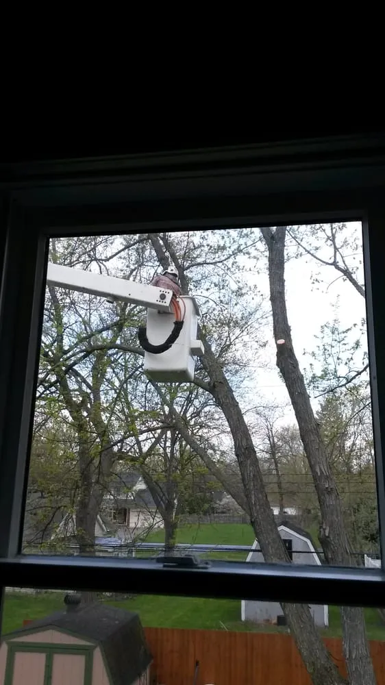 Trusted garden landscaping in Auburn Hills, MI by The Davey Tree Expert Company