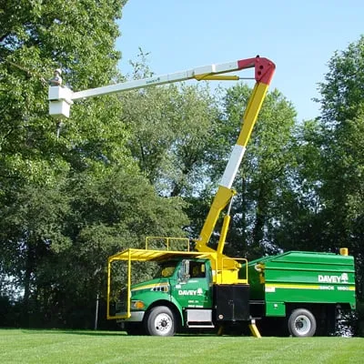 Top-rated garden landscaping for residential properties across Colma, CA - The Davey Tree Expert Company