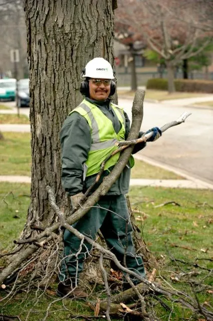 Affordable landscape design in Colma, CA by The Davey Tree Expert Company