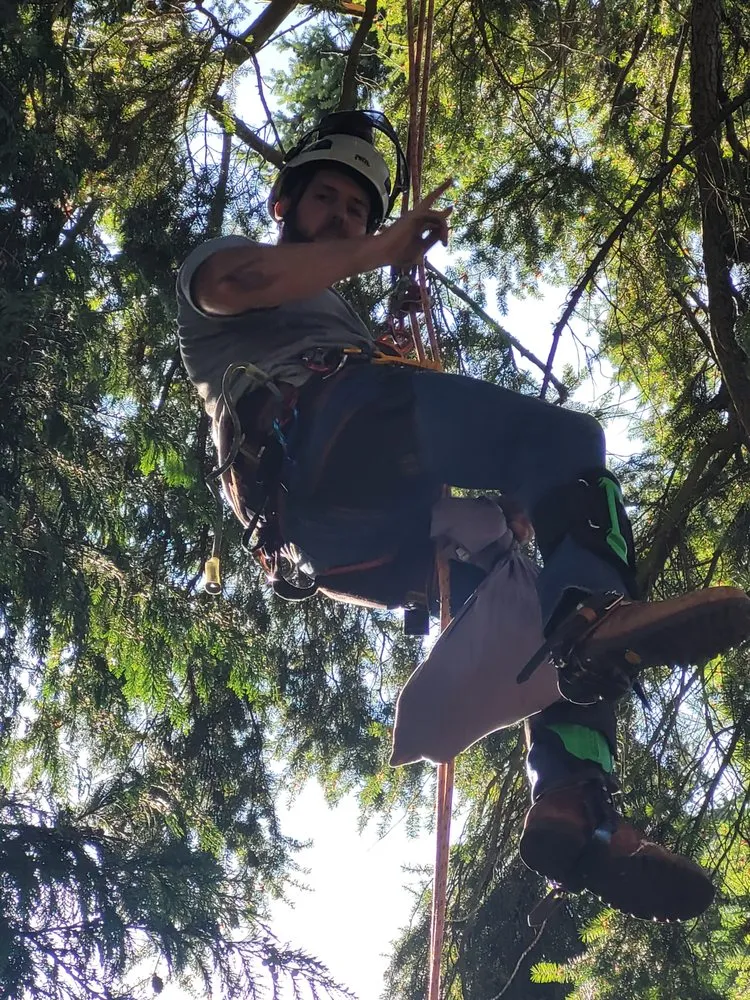 Trusted garden landscaping in Colma, CA - The Davey Tree Expert Company