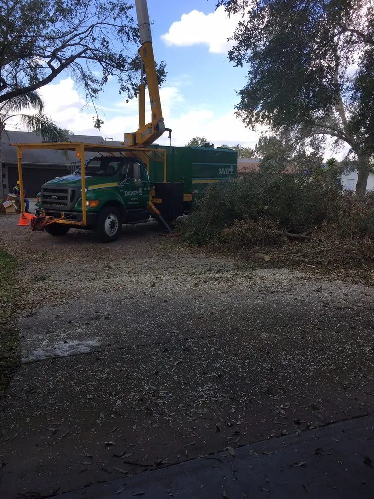 Affordable landscape installation for homes across Colma, CA - The Davey Tree Expert Company