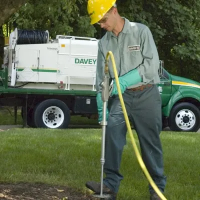 Affordable yard maintenance near you across Colma, CA - The Davey Tree Expert Company