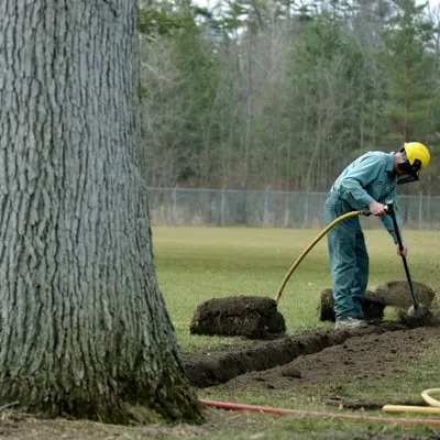 Affordable yard maintenance experts serving Colma, CA - The Davey Tree Expert Company