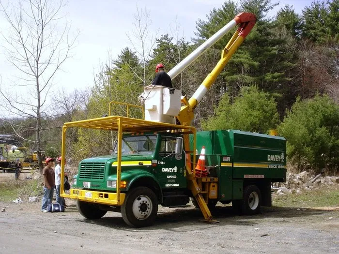 Reliable yard maintenance in Colma, CA - The Davey Tree Expert Company