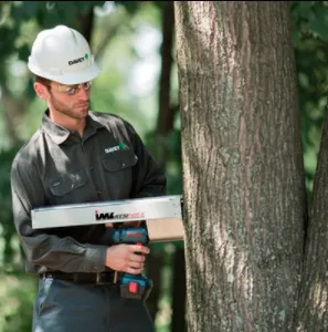 Custom yard cleanup service experts serving Monroe, MI - The Davey Tree Expert Company