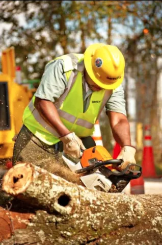 Trusted garden landscaping in Monroe, MI by The Davey Tree Expert Company