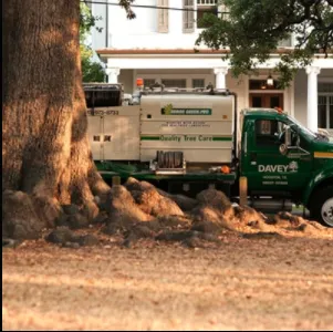 Trusted landscape design in Monroe, MI - The Davey Tree Expert Company