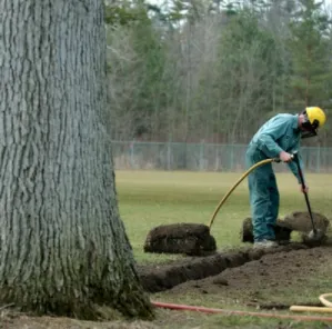 Local residential landscaping in Monroe, MI - The Davey Tree Expert Company
