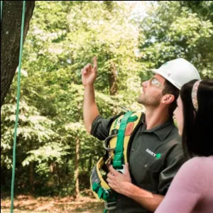 Custom yard maintenance in Monroe, MI by The Davey Tree Expert Company