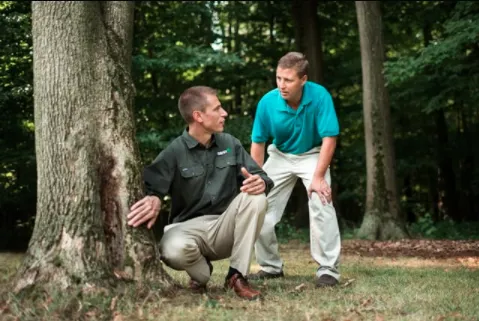 Custom yard maintenance for residential properties across Monroe, MI - The Davey Tree Expert Company