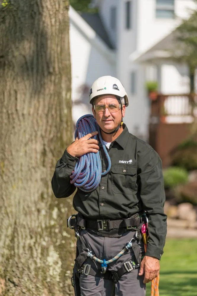 Reliable lawn care service in N Las Vegas, NV by The Davey Tree Expert Company