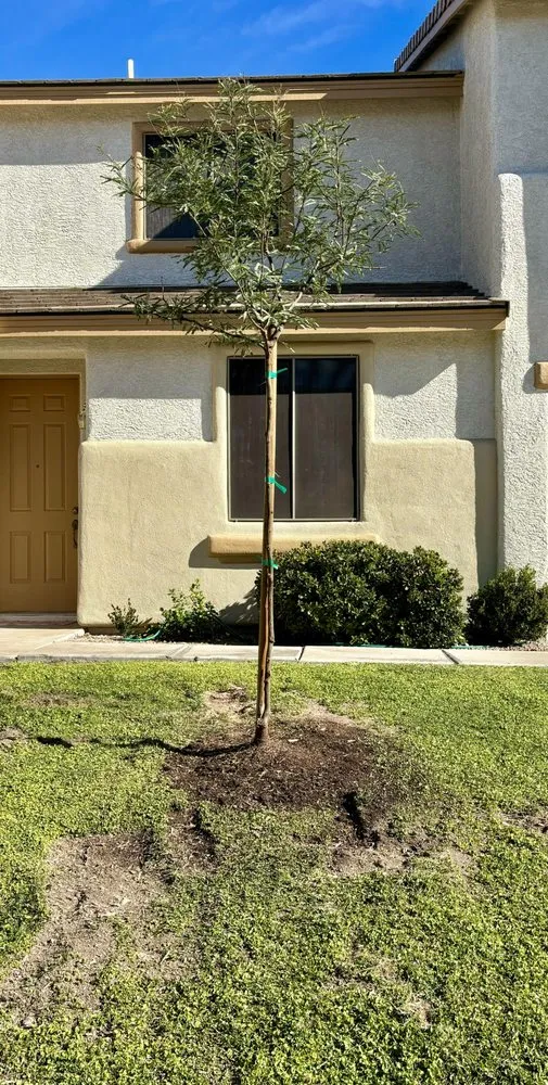 Local yard maintenance for homes across N Las Vegas, NV - The Davey Tree Expert Company