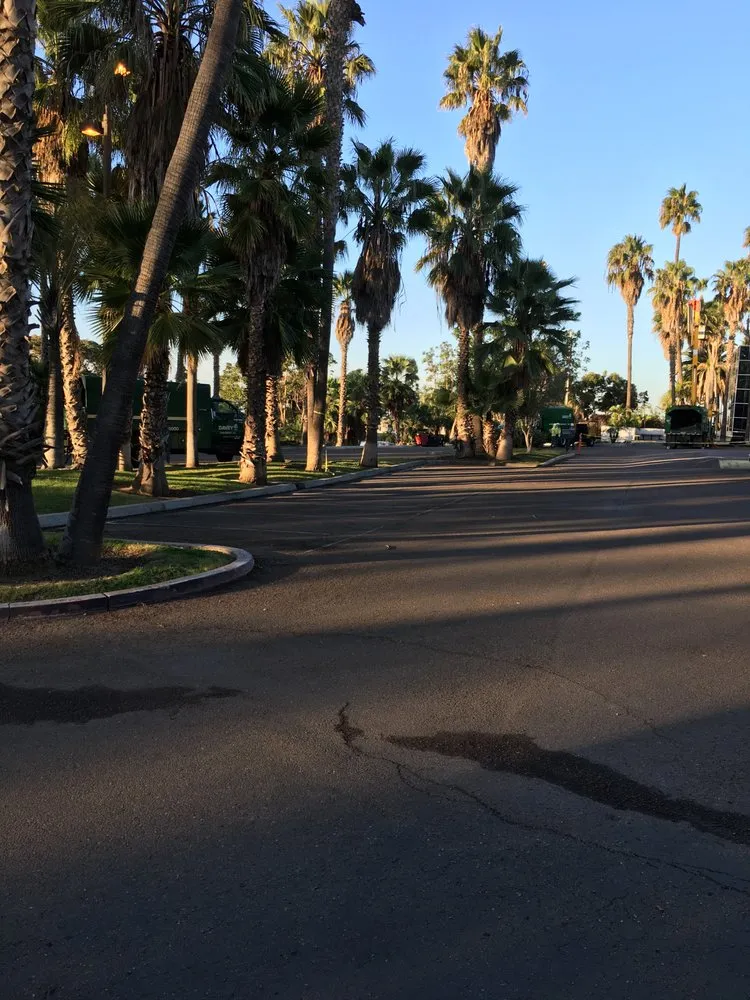 Trusted lawn mowing service near you across N Las Vegas, NV - The Davey Tree Expert Company