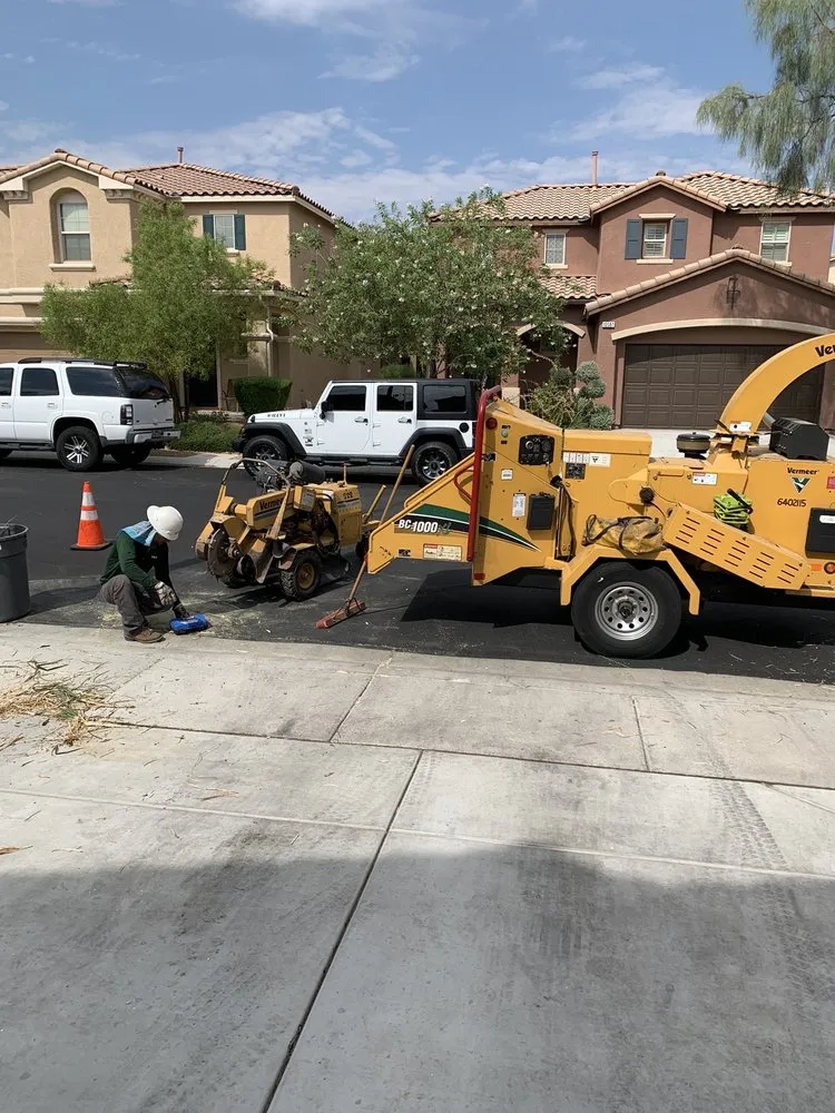 Reliable yard cleanup service in N Las Vegas, NV - The Davey Tree Expert Company