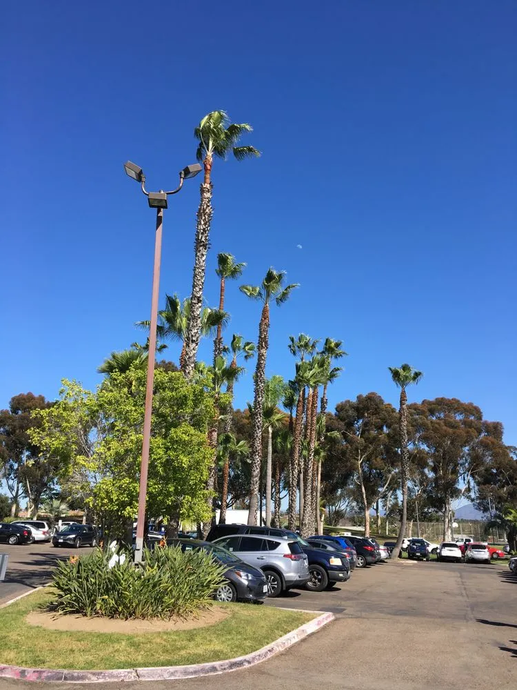 Reliable lawn mowing service in N Las Vegas, NV by The Davey Tree Expert Company