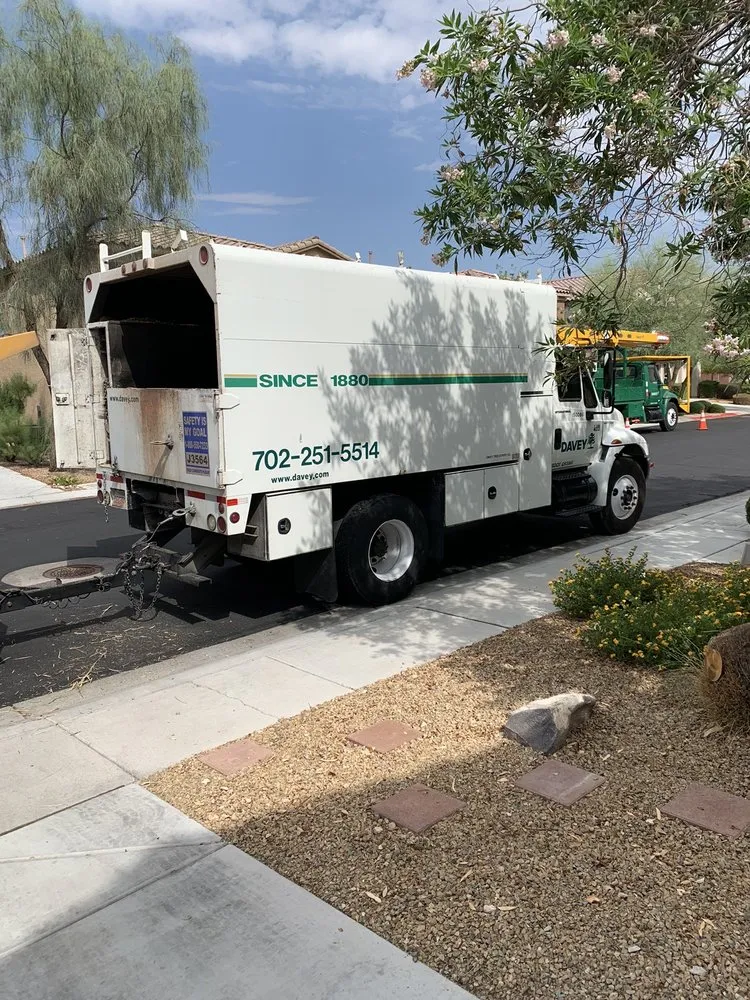 Trusted yard maintenance in N Las Vegas, NV - The Davey Tree Expert Company