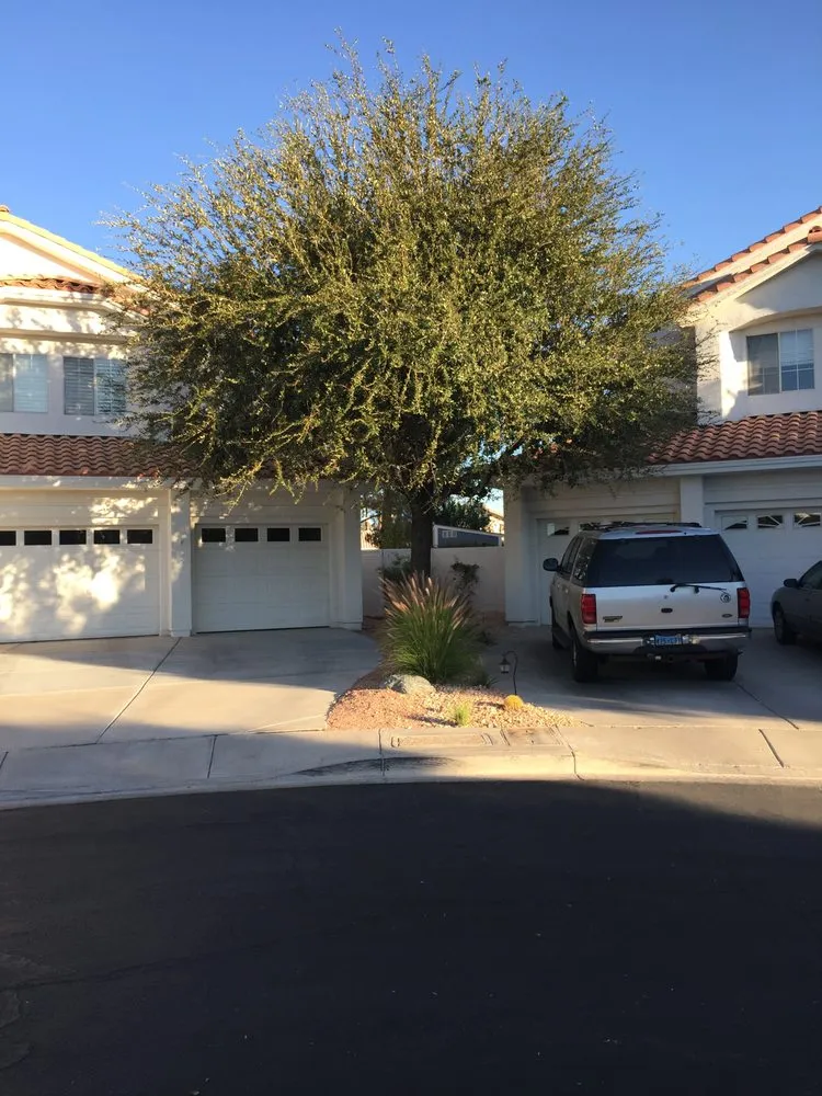 Affordable residential landscaping with custom design in N Las Vegas, NV by The Davey Tree Expert Company