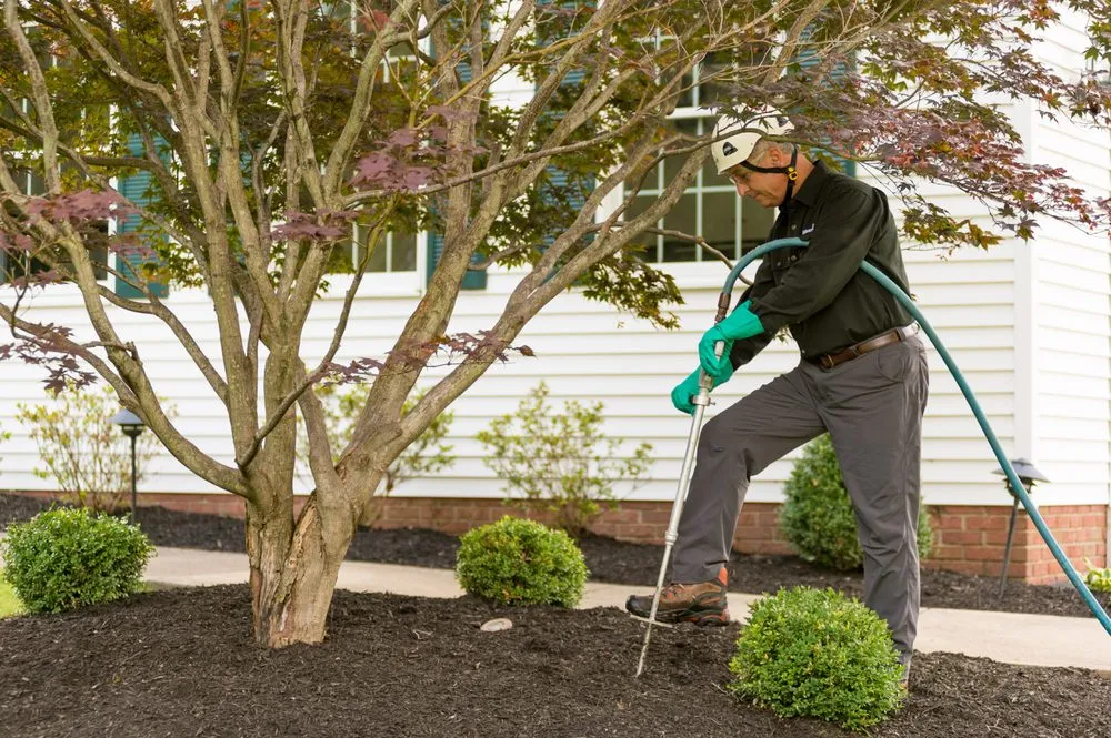 Local yard cleanup service experts serving N Las Vegas, NV - The Davey Tree Expert Company