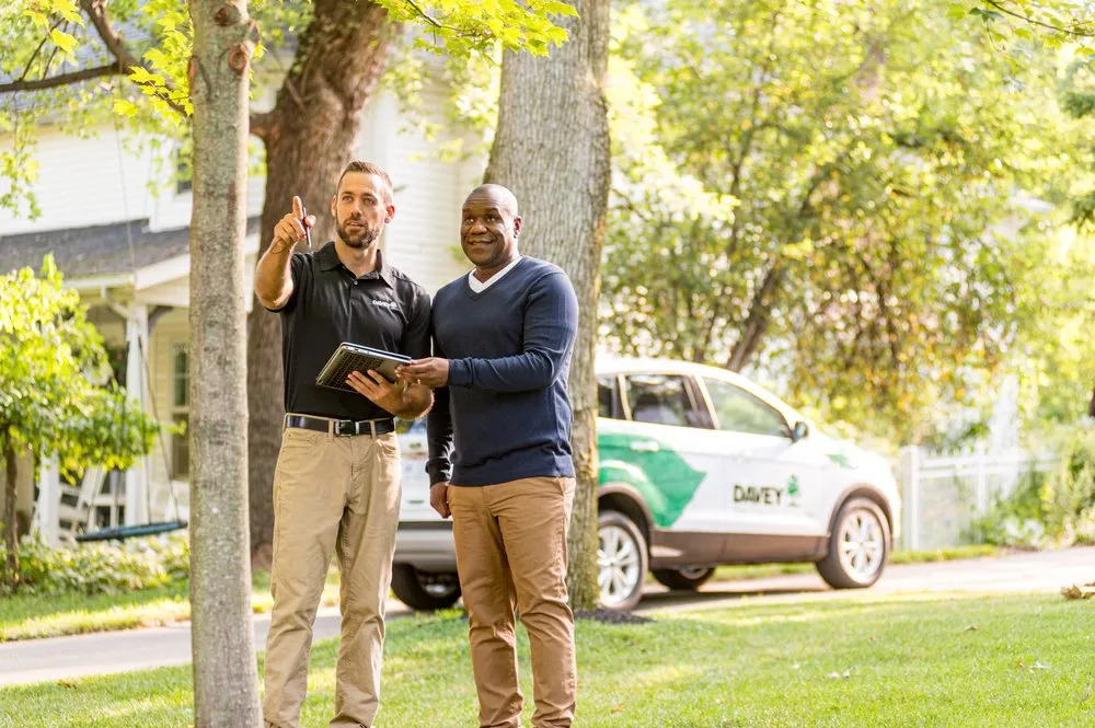 Affordable lawn care service in N Las Vegas, NV by The Davey Tree Expert Company