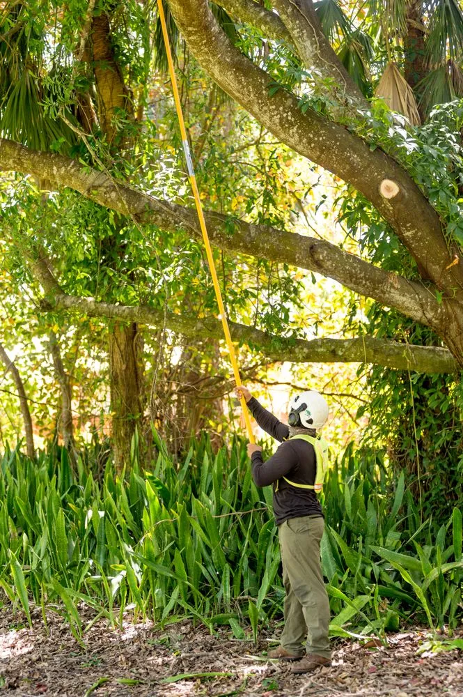 Affordable garden landscaping experts serving Naples, FL - The Davey Tree Expert Company