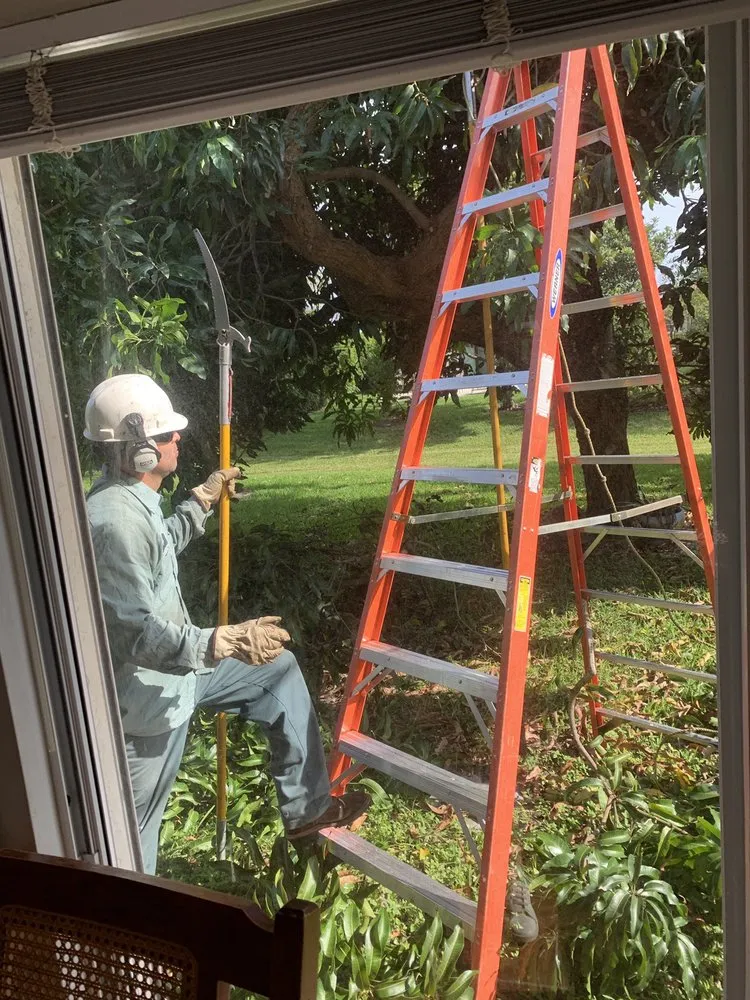 Trusted landscape design in Naples, FL - The Davey Tree Expert Company