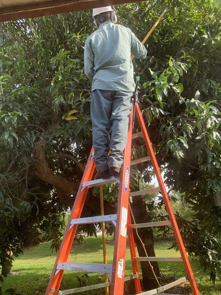 Reliable residential landscaping with custom design in Naples, FL by The Davey Tree Expert Company