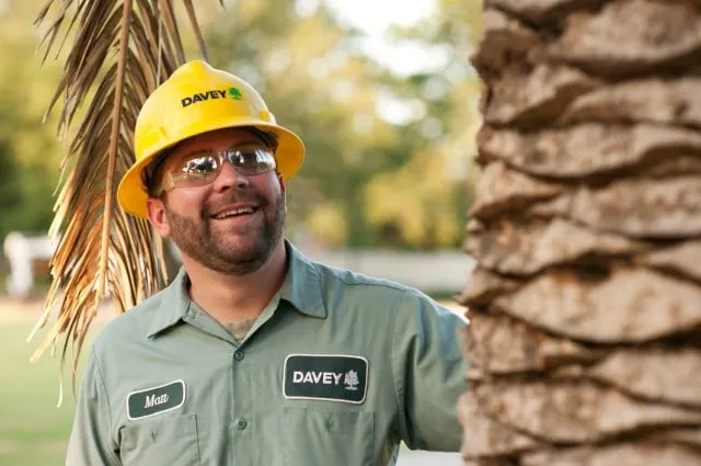 Top-rated outdoor landscaping experts serving Naples, FL - The Davey Tree Expert Company