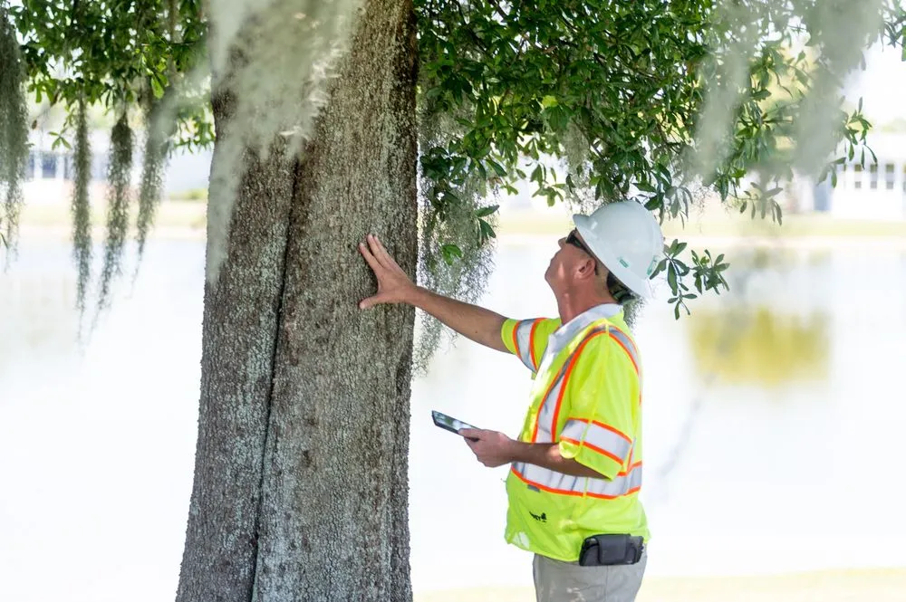 Professional outdoor landscaping for homes across Naples, FL - The Davey Tree Expert Company