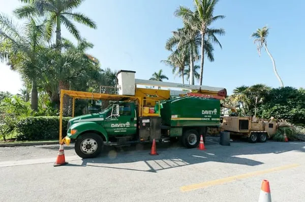 The Davey Tree Expert Company Logo