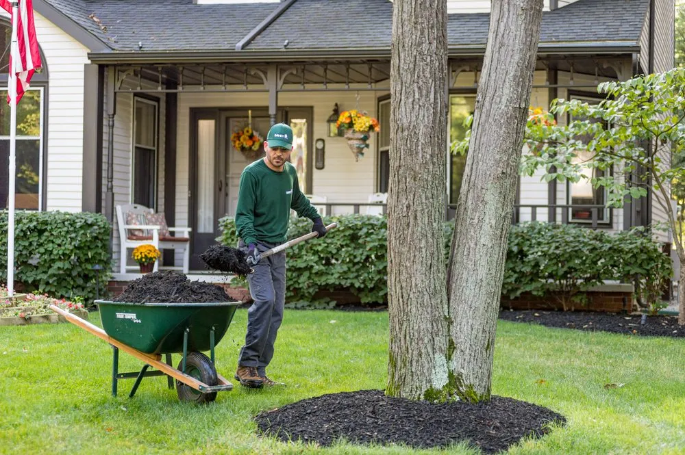 Local outdoor landscaping for beautiful yards across Olathe, KS - The Davey Tree Expert Company