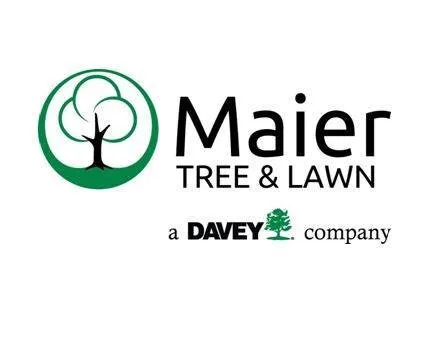 Custom outdoor landscaping for year-round maintenance across Rochester, MN - The Davey Tree Expert Company