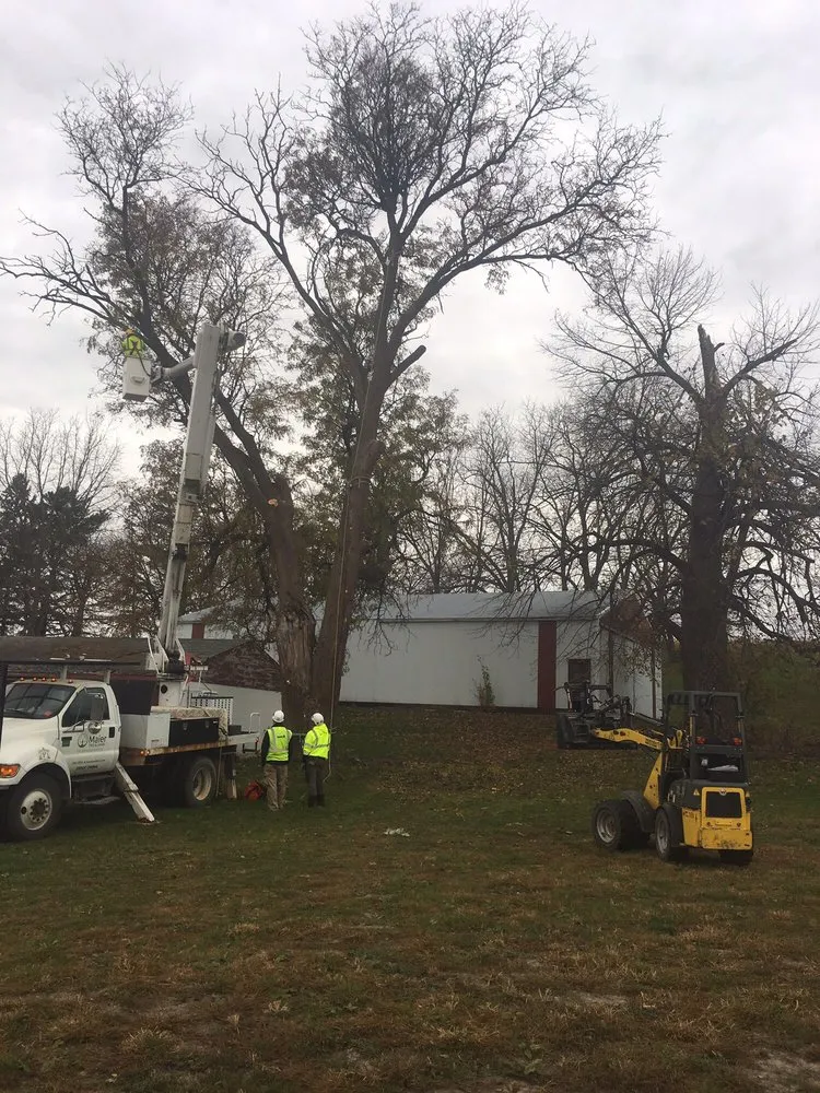 Local lawn care service in Rochester, MN - The Davey Tree Expert Company