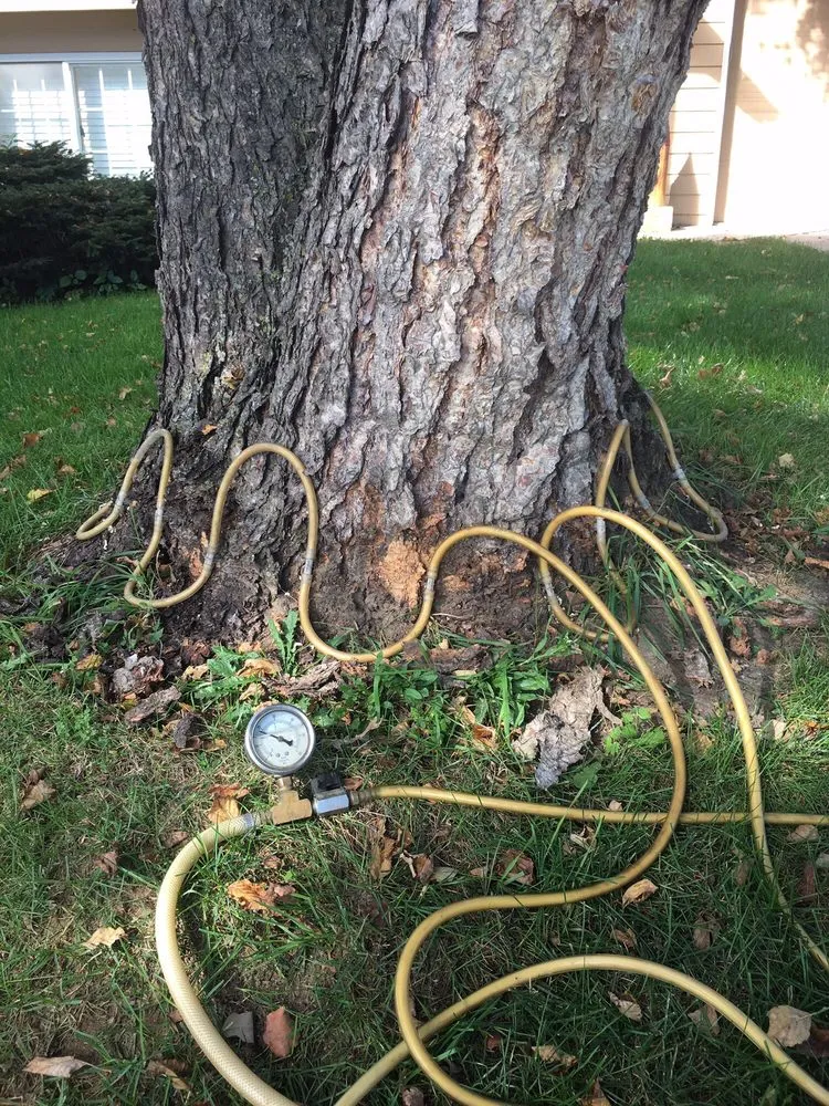 Local landscaping services for homes in Rochester, MN by The Davey Tree Expert Company