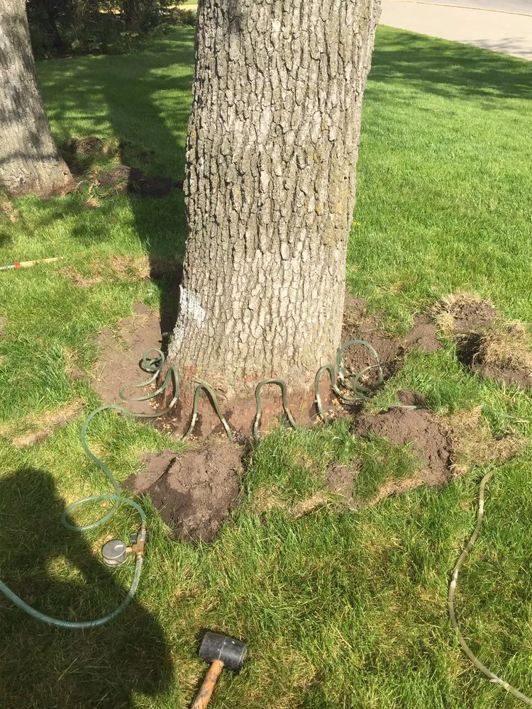 Reliable landscape design experts serving Rochester, MN - The Davey Tree Expert Company