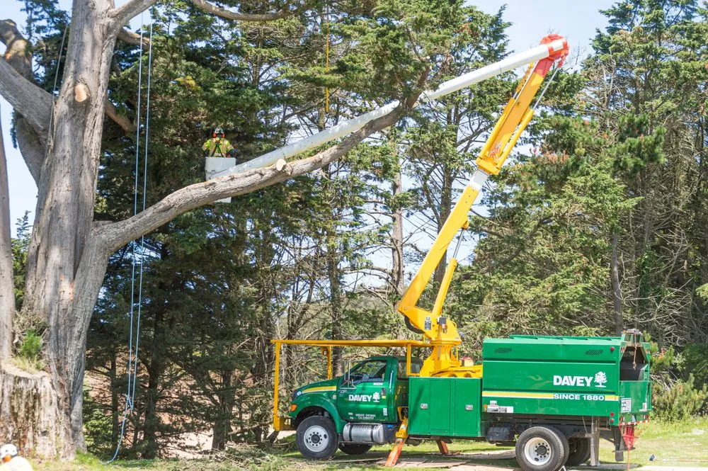 Trusted garden landscaping experts serving Rochester, MN - The Davey Tree Expert Company