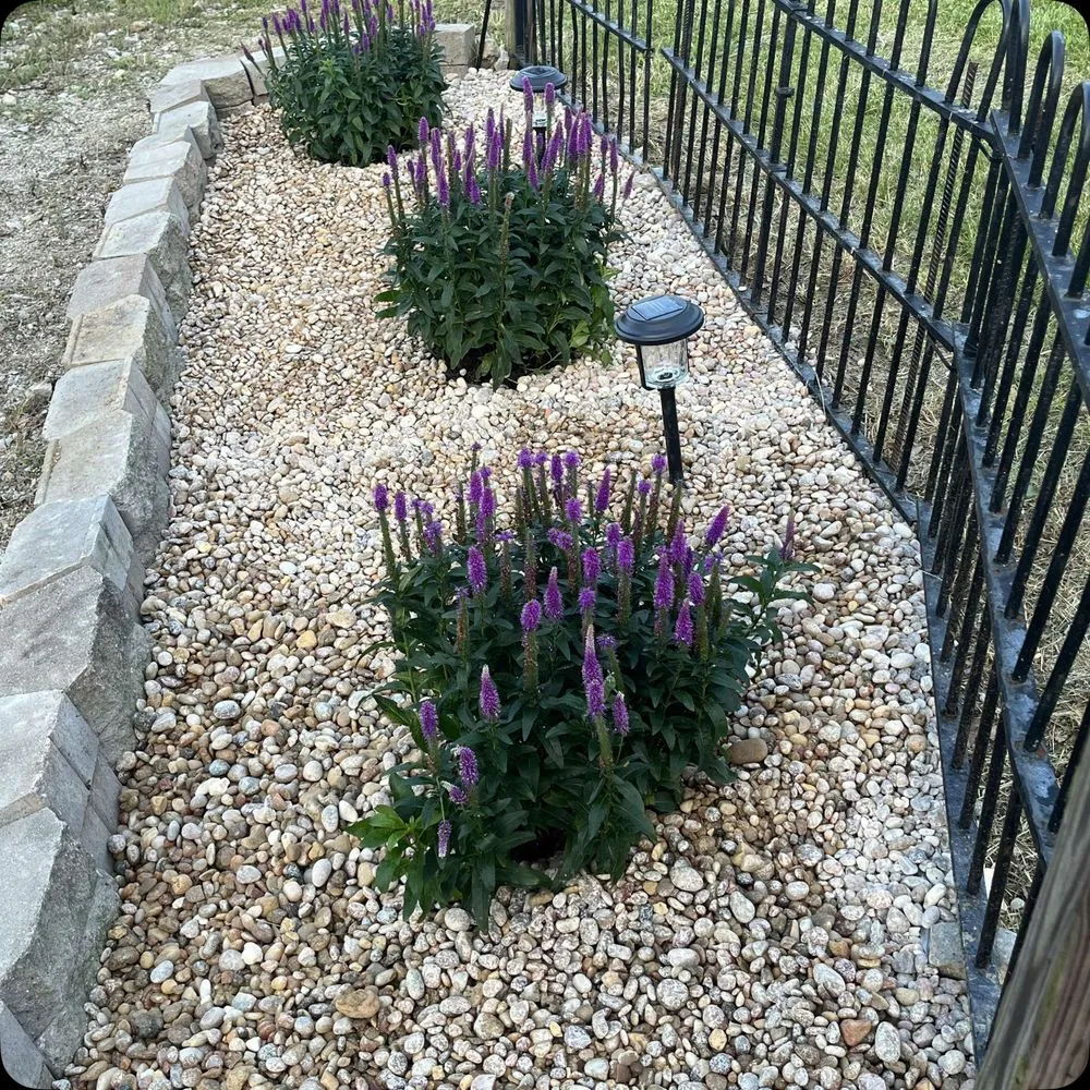 Custom landscape design for beautiful yards across Newport, KY - The Dean's List