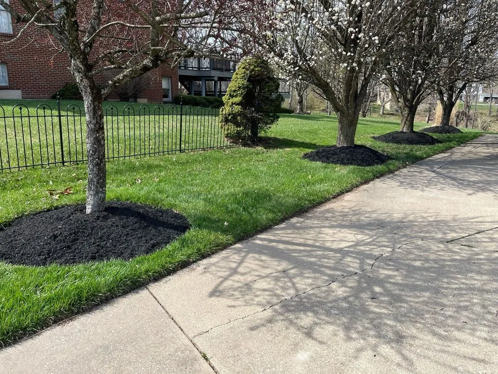 Trusted yard cleanup service experts serving Burlington, KY - The Decor Group NKY