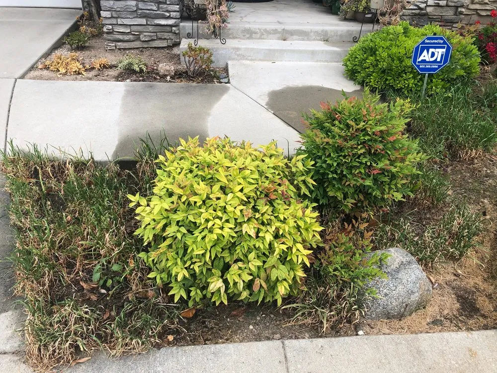 Trusted landscape design with custom design in Los Angeles, CA by The Department of Green