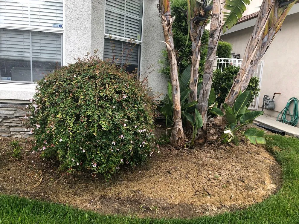 Local lawn mowing service in Los Angeles, CA - The Department of Green