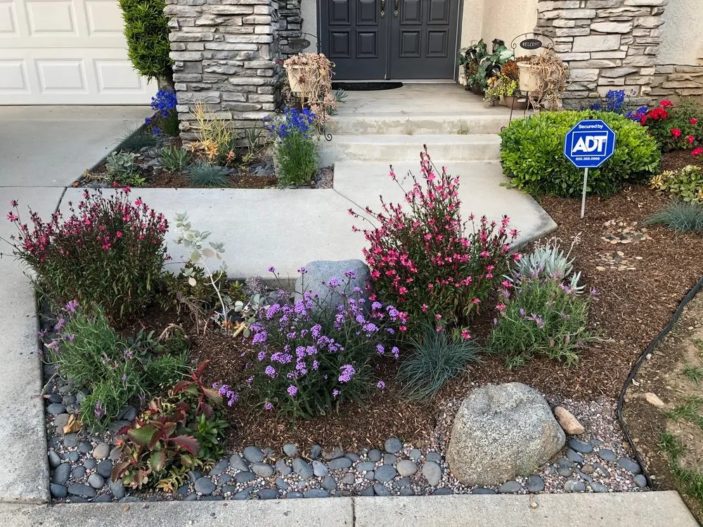 Professional landscape design with custom design in Los Angeles, CA by The Department of Green