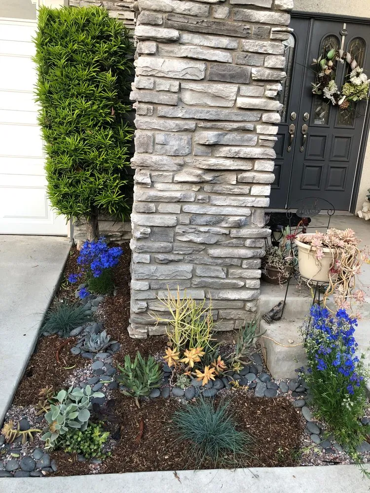 Expert landscape design in Los Angeles, CA - The Department of Green