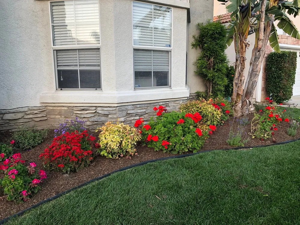 Affordable residential landscaping experts serving Los Angeles, CA - The Department of Green