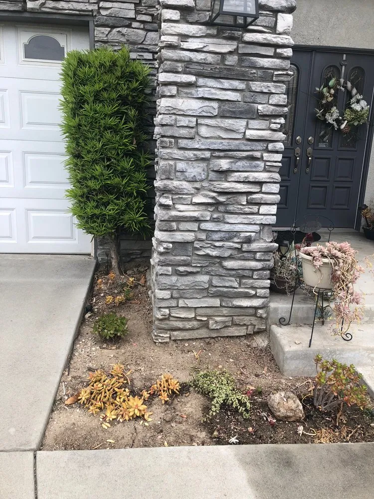 Top-rated residential landscaping with custom design in Los Angeles, CA by The Department of Green