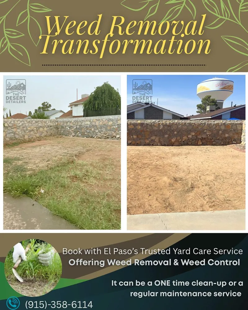 Trusted yard maintenance in El Paso, TX - The Desert Detailers